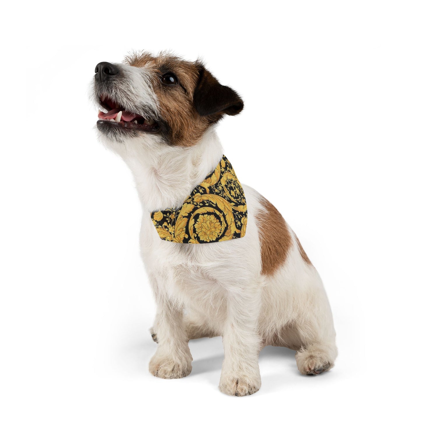 Versace Flower Pet Bandana Collar