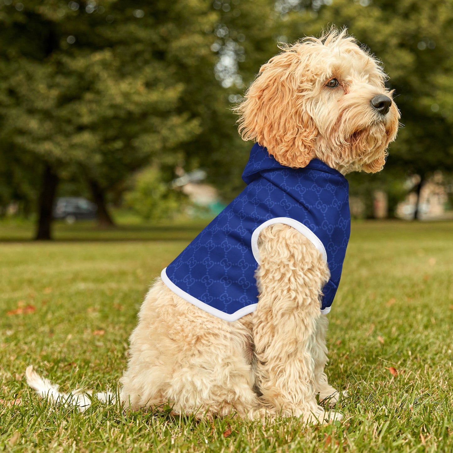 Blue Gucci Pet Hoodie