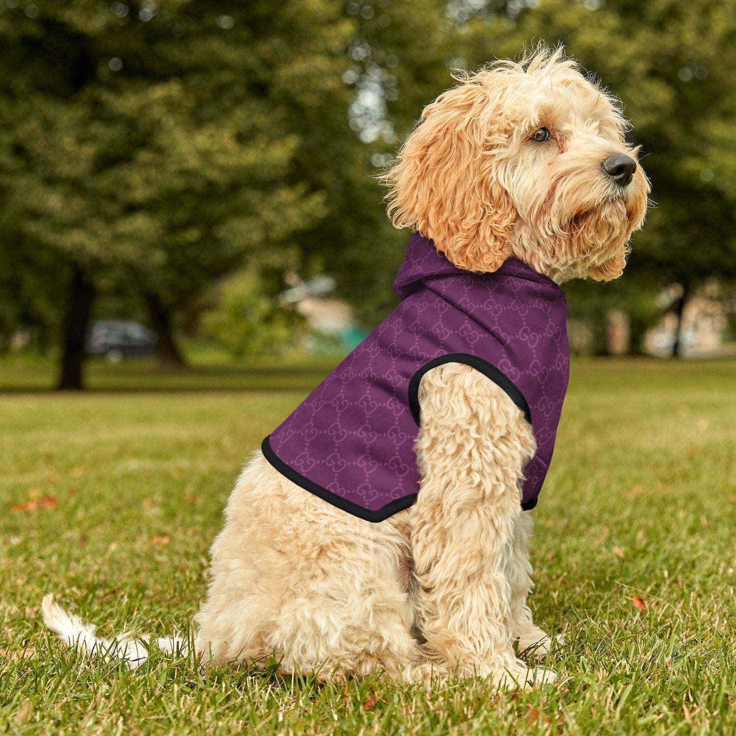 Purple Gucci Pet Hoodie