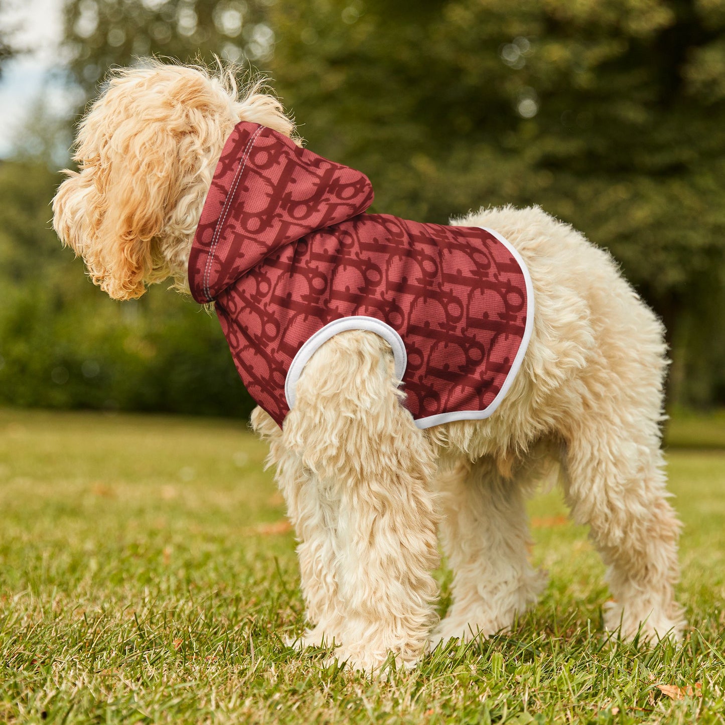 Red Dior Pet Hoodie