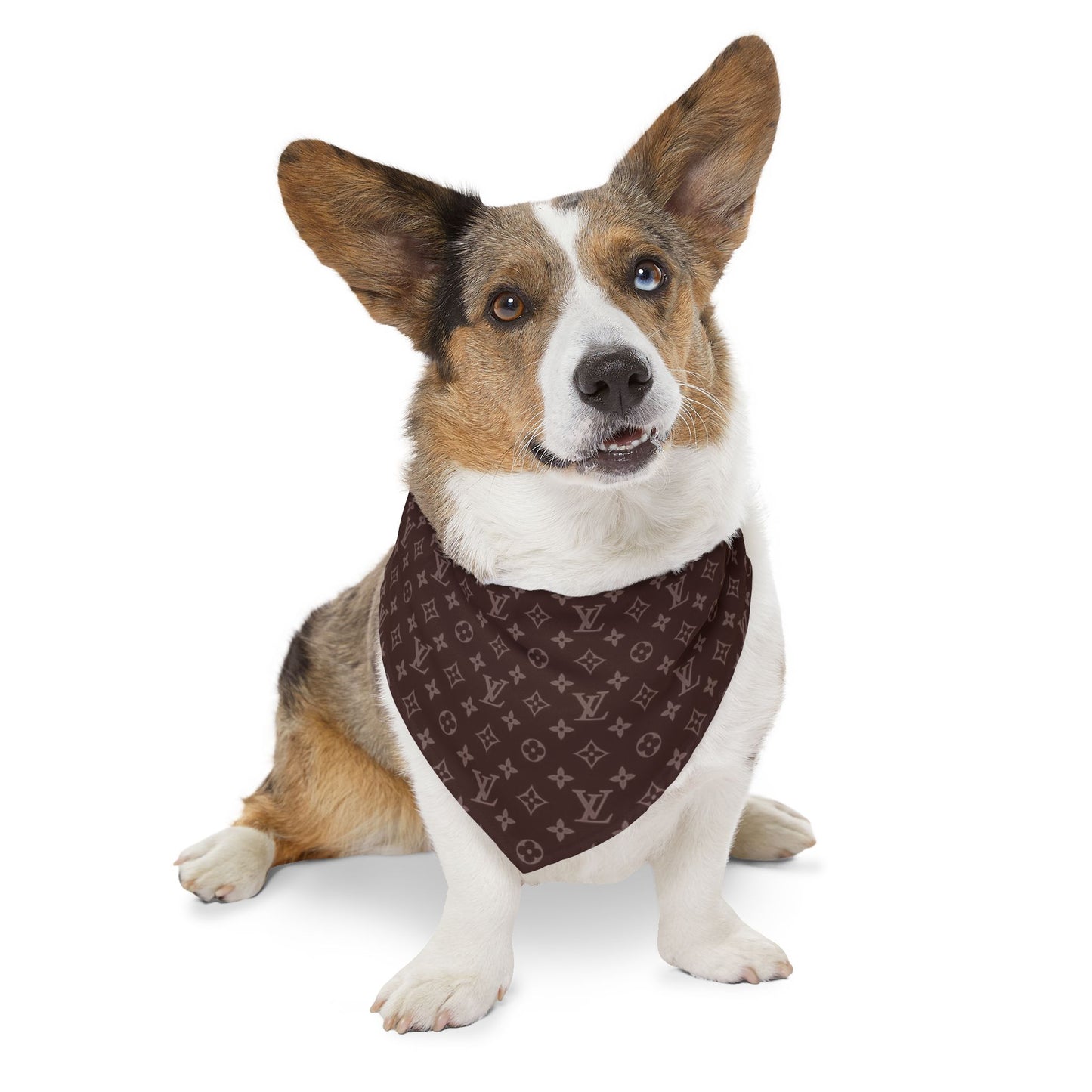 Brown Louis Vuitton Pet Bandana Collar