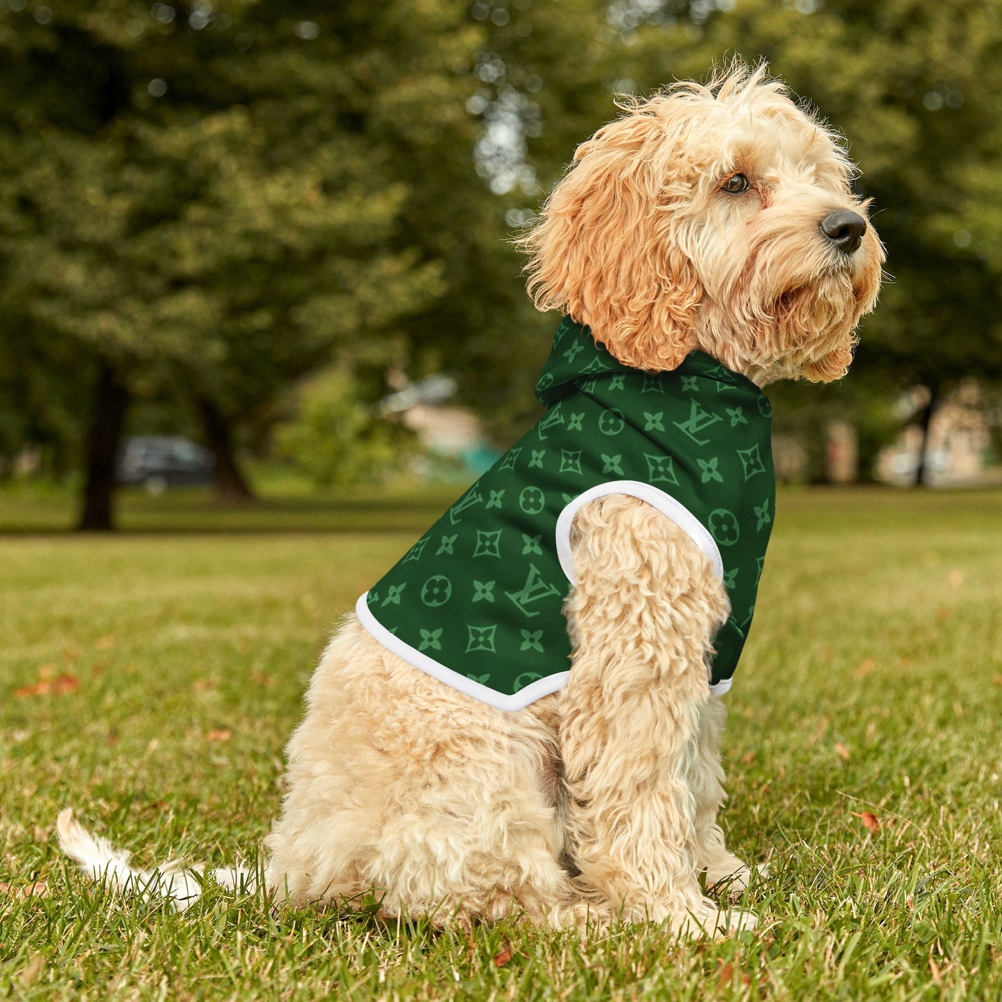 Green Louis Vuitton Pet Hoodie