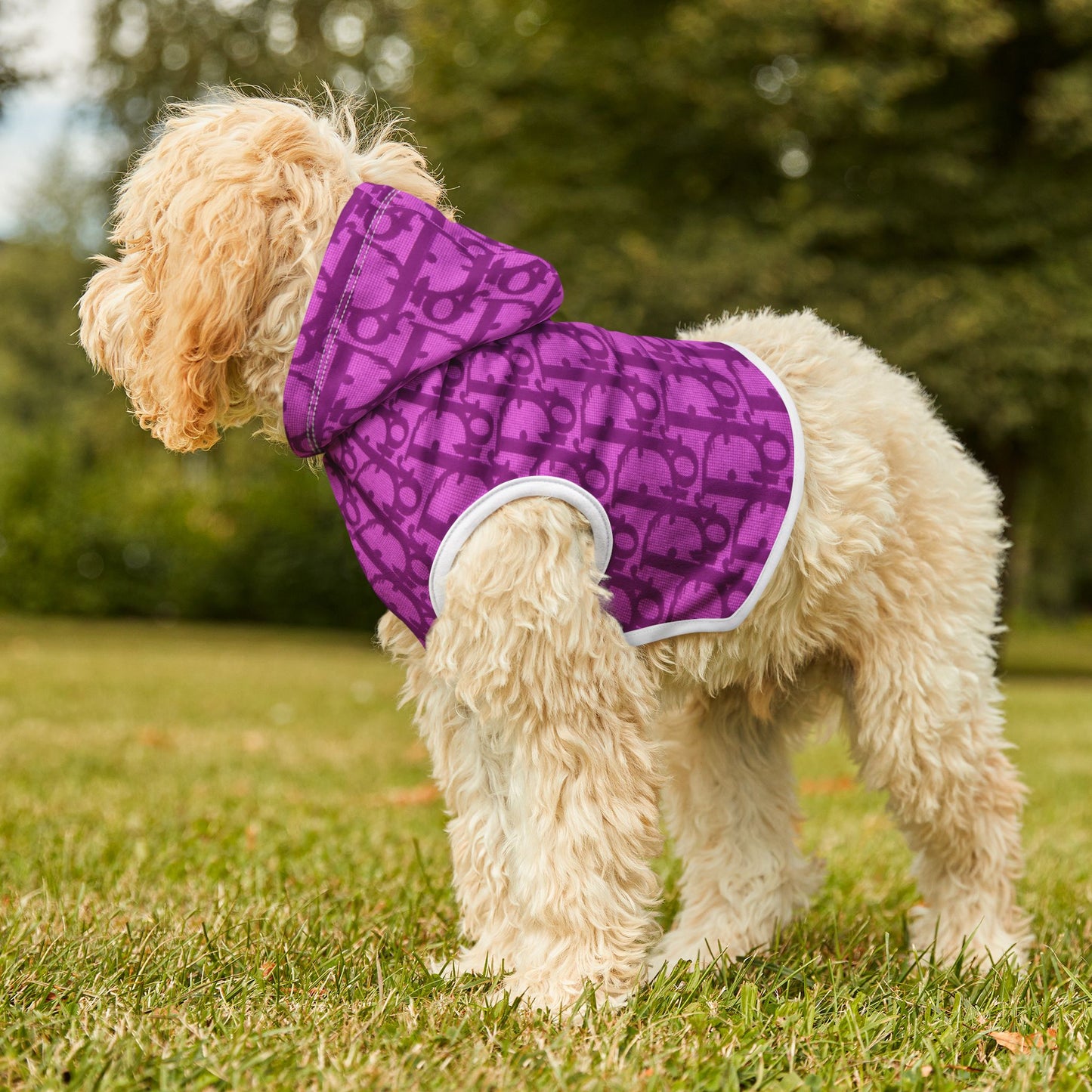 Pink Dior Pet Hoodie