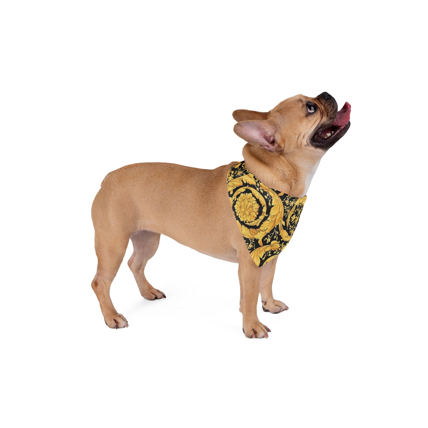 Versace Flower Pet Bandana