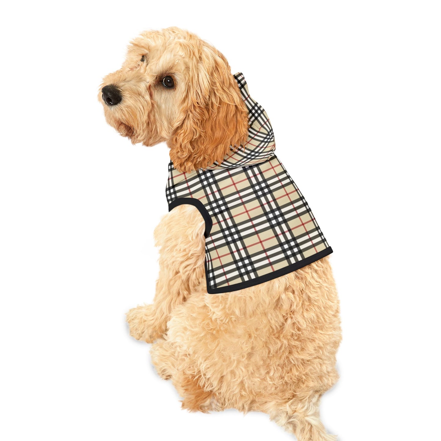 Burberry Pet Hoodie