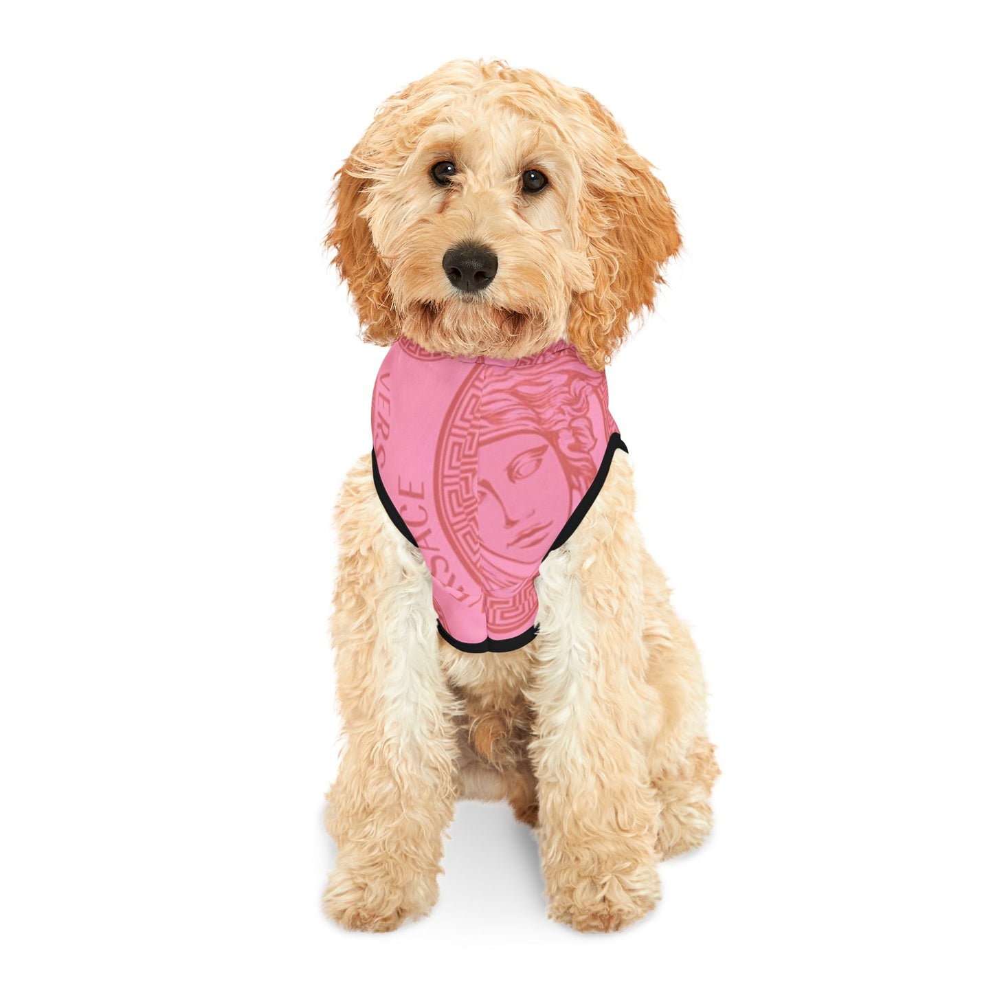 Pink Versace Pet Hoodie