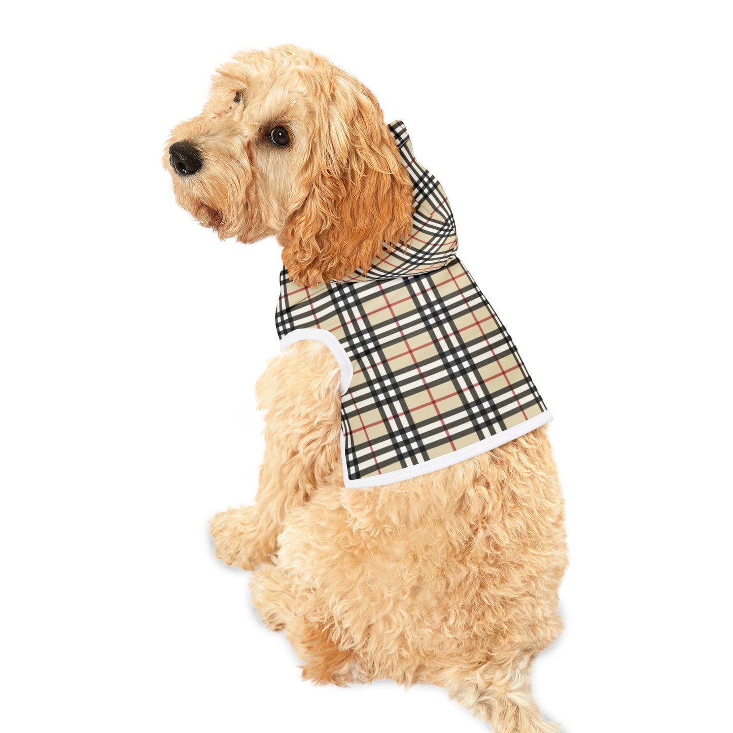 Burberry Pet Hoodie