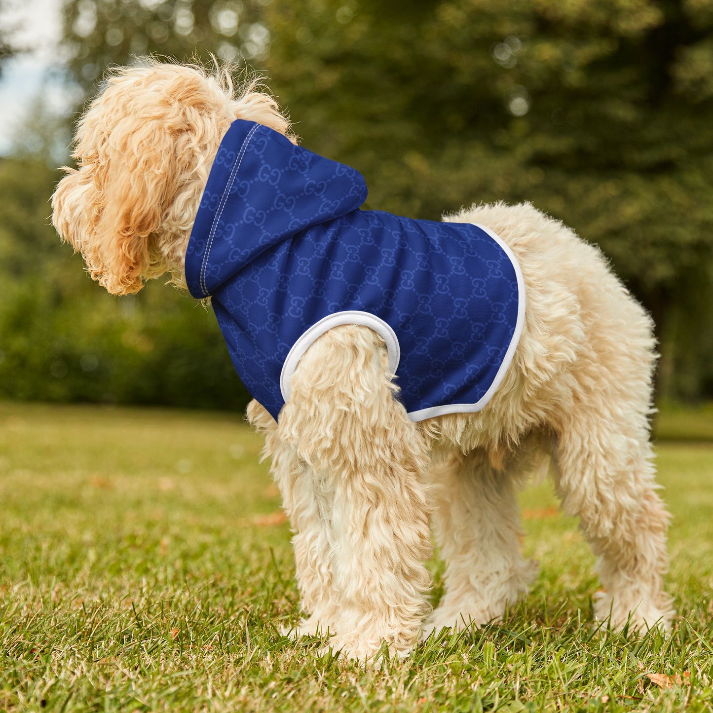 Blue Gucci Pet Hoodie