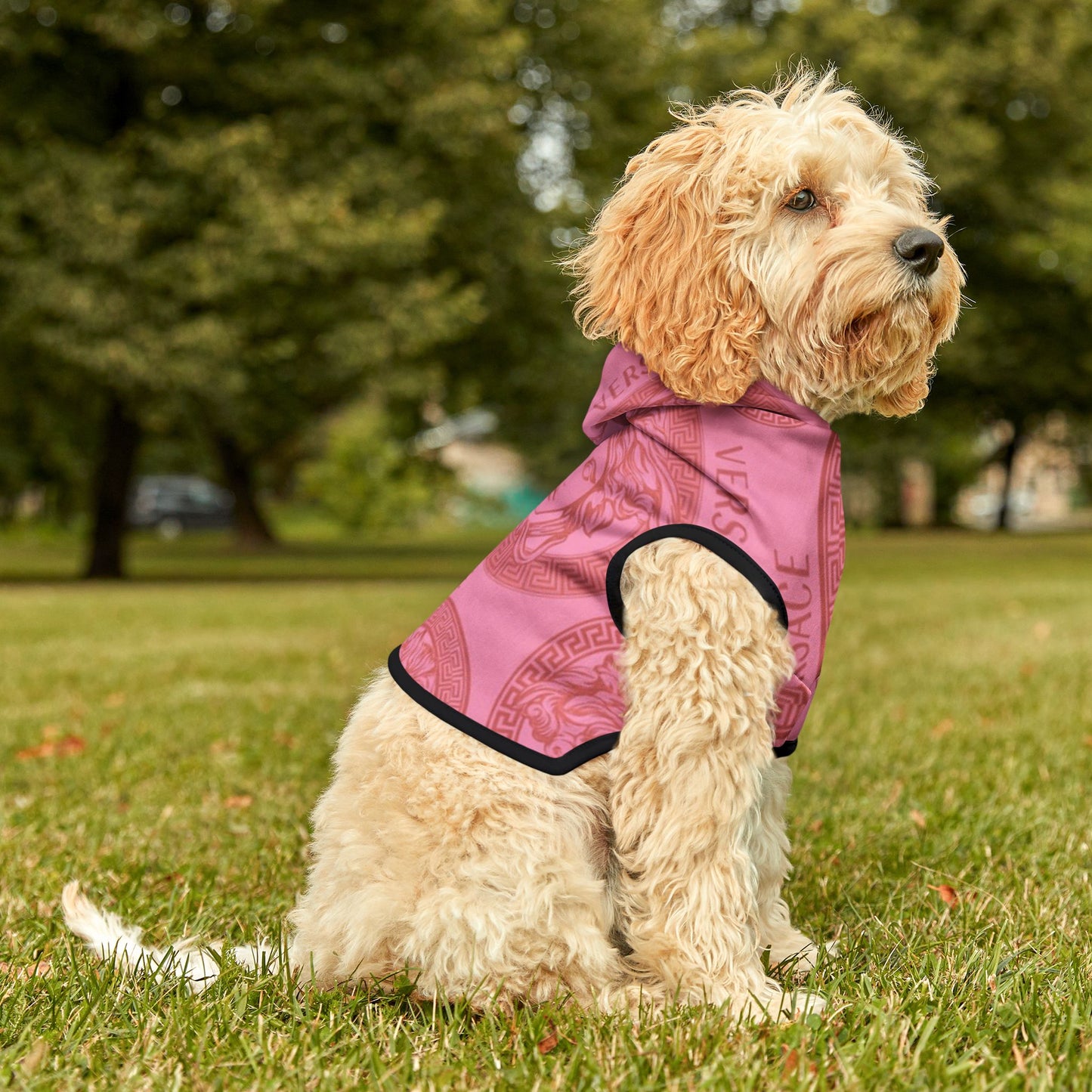 Pink Versace Pet Hoodie