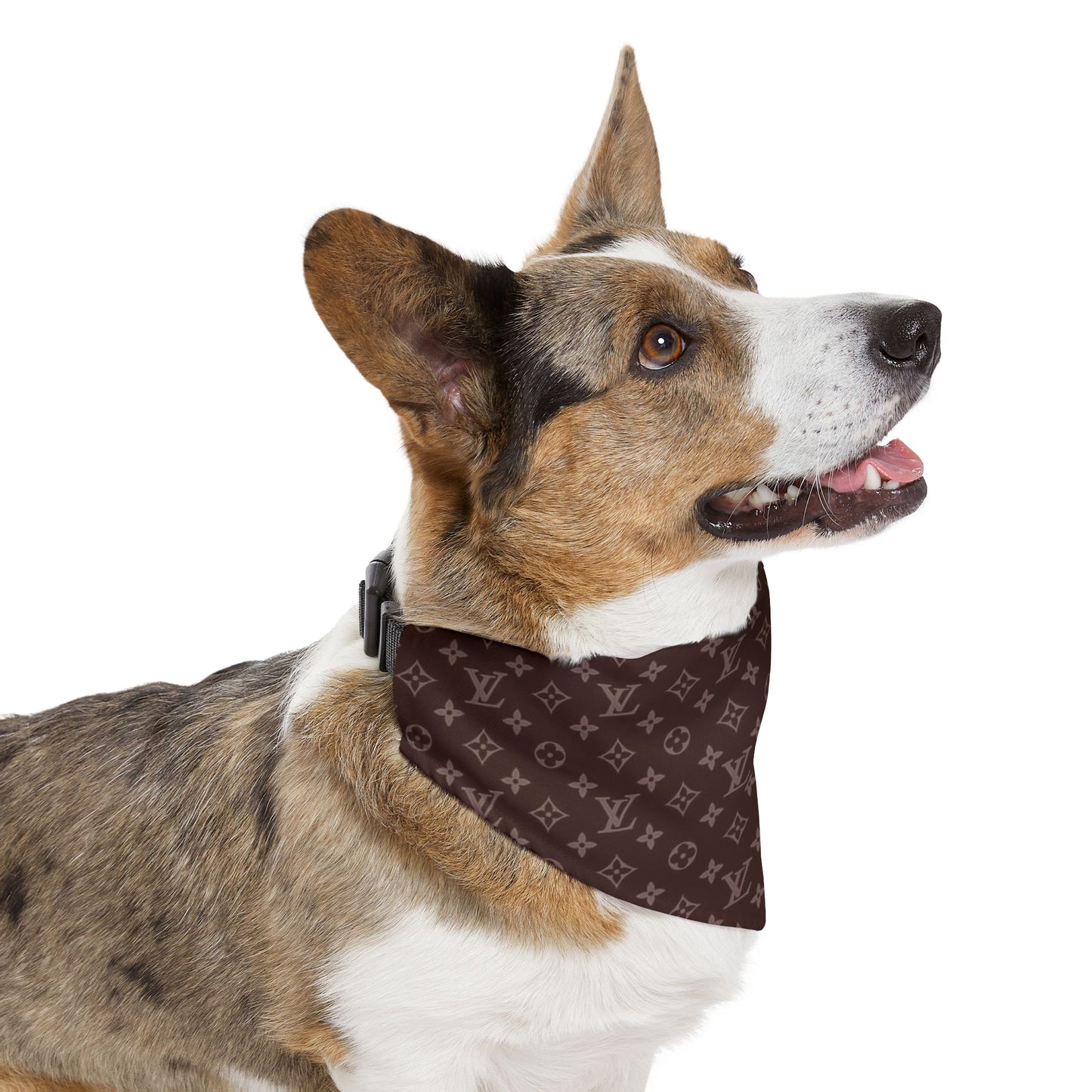 Brown Louis Vuitton Pet Bandana Collar