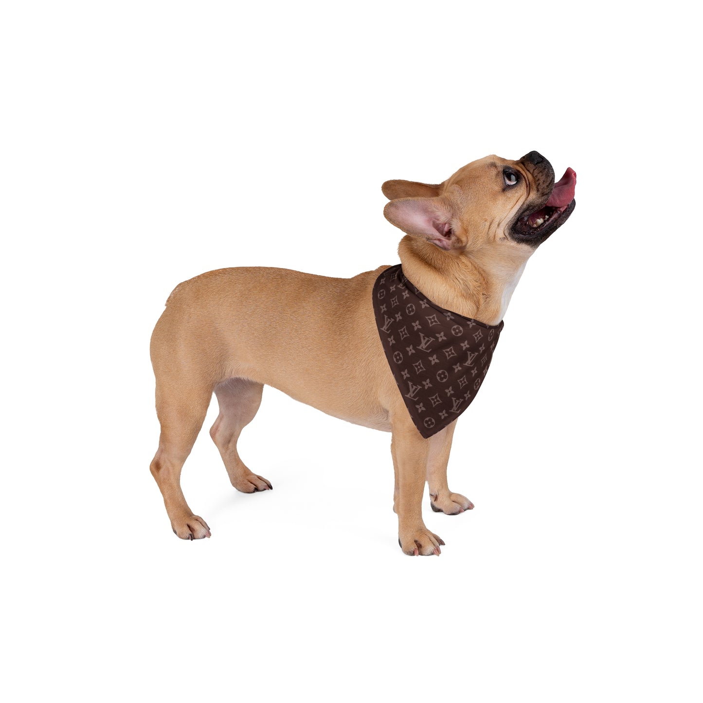 Brown Louis Vuitton Pet Bandana